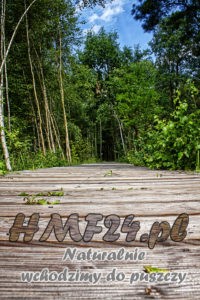 Naturalny impregnat naturalne barwienie drewna KPN kampinoski Park Narodowy