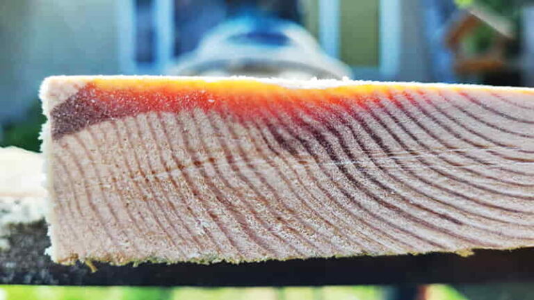 Deska sosnowa z widocznymi słojami